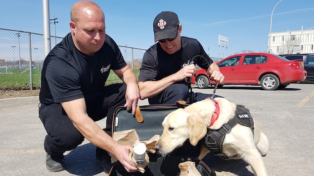 Un instructeur fait sentir une substance dissimulée dans une valise à un chien accompagné de son maître.