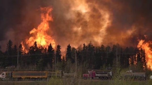 Un incendio forestal en la provincia de Alberta.