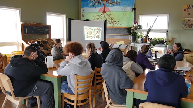 Un groupe d'adolescents écoutent une présentation d'une éducatrice en regardant des images de graines de semence projetés sur un écran. Un groupe d'adolescents écoutent une présentation d'une éducatrice en regardant des images de graines de semence projetés sur un écran.