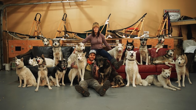 Un homme et une femme sont assis avec une vingtaine de chiens