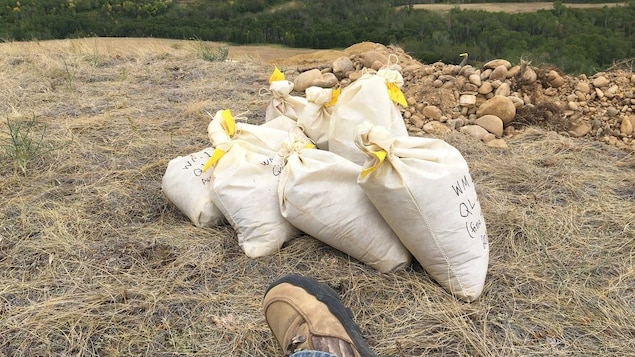 Sacs de fossiles amassés sur le haut d'une colline. Sacs de fossiles amassés sur le haut d'une colline.