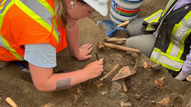 240 000 artéfacts retrouvés dans un site archéologique à Moose Jaw
