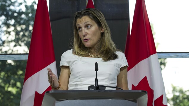 La ministre des Affaires étrangères, Chrystia Freeland, au cours d'un point de presse donné à l'ambassade canadienne à Washington.