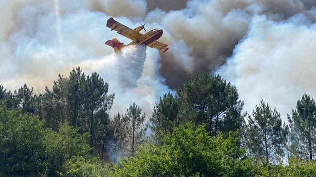 Du Portugal à la Grèce, les autorités luttent contre des feux de forêt