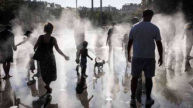 France : le pays suffoque à cause de la canicule, appel à la vigilance sur les feux