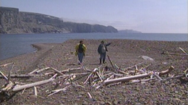 Une plage de caillou sur laquelle deux personnes marche. Une étendue d'eau sépare la plage de grandes falaises. 