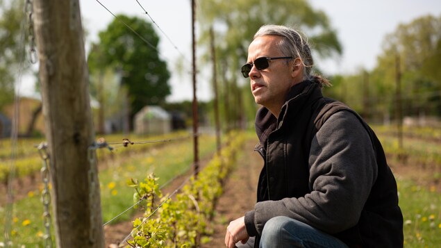 Fred Tremblay, agenouillé à la hauteur de ses vignes.
