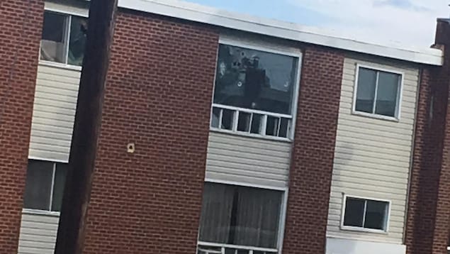 Les balles ont fait plusieurs trous dans une fenêtre et un mur. Les balles ont fait plusieurs trous dans une fenêtre et un mur.