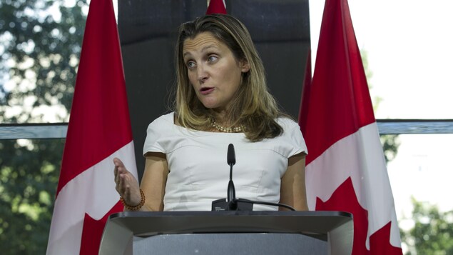 La ministre des Affaires étrangères, Chrystia Freeland, au cours d'un point de presse donné à l'ambassade canadienne à Washington.