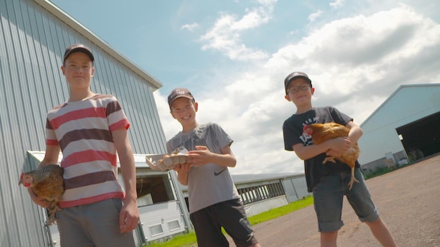 Trois jeunes garçons à l'extérieur d'une ferme. Deux d'entre eux tiennent une poule dans leurs mains. L'autre tient une boîte en carton remplie d'oeufs.