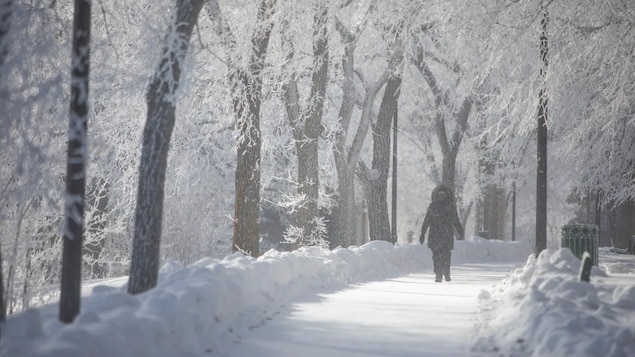 Une personne marche dans un parc au centre-ville de Saskatoon en plein hiver lors d'une vague de froid en 2021.