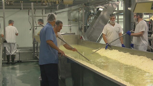 Des travailleurs s'affairent dans la fromagerie.