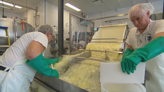 On voit des travailleurs de la fromagerie à l'oeuvre devant une machine, munis de gants et de bonnets de protection. On voit des travailleurs de la fromagerie à l'oeuvre devant une machine, munis de gants et de bonnets de protection.