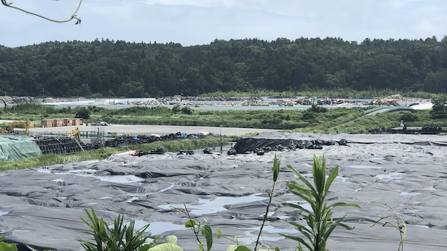 Le centre d'enfouissement du ministère de l'environnement japonais à Okuma, près de la centrale nucléaire de Fukushima.