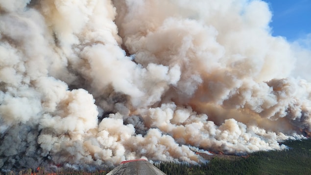 El Humo De Los Incendios Forestales Tiene Consecuencias Económicas ...