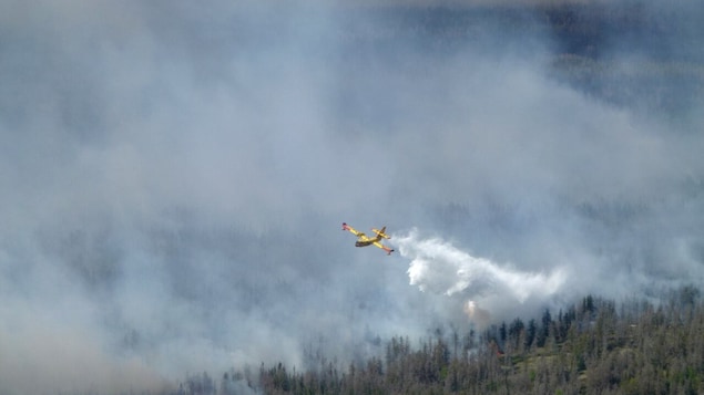 Un avión cisterna lanza agua sobre un bosque en llamas que emite mucho humo.