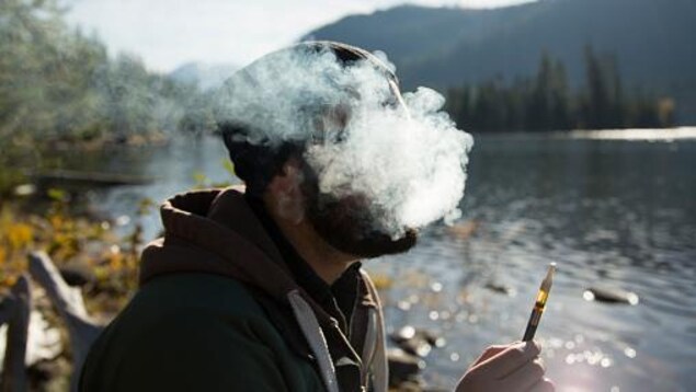 Selon le Centre de toxicomanie et de santé mentale de Toronto, 44% des Canadiens ont déjà fumé de la marijuana. Selon le Centre de toxicomanie et de santé mentale de Toronto, 44% des Canadiens ont déjà fumé de la marijuana.