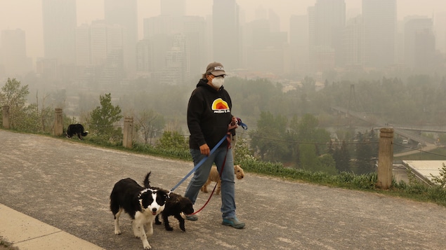 Leslie Kramer promène ses chiens non loin des immeubles du centre-ville de Calgary sous une épaisse fumée des feux de forêt.