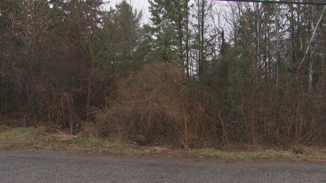 Écocentre dans Aylmer : opération charme auprès des citoyens