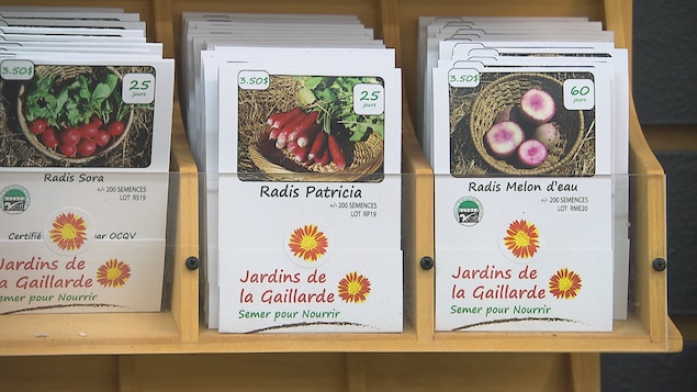 Les semences des Jardins de la Gaillarde dans un présentoir.