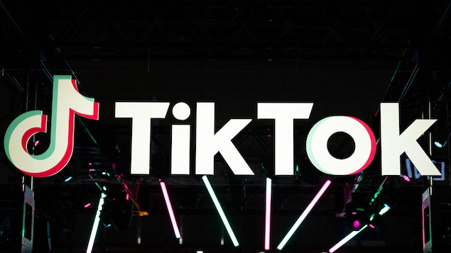 Aux États-Unis, les jeunes font les frais de la désinformation électorale sur TikTok