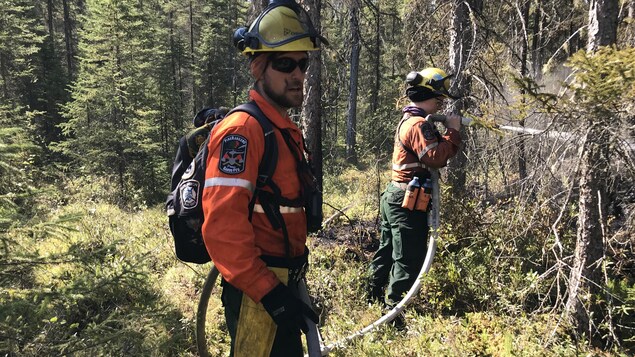 Deux personnes tenant un tuyau. Une d'entre elles dirige un jet d'eau entre des arbres.
