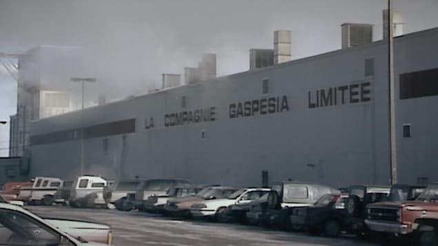 Extérieur de l'usine