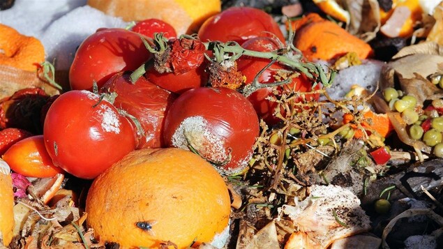 Des aliments pourris.