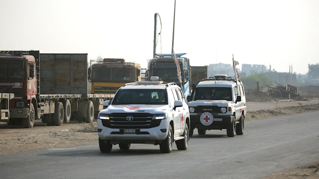 Israël a reçu la dépouille présumée de Hadar Goldin, tué en 2014 à Gaza