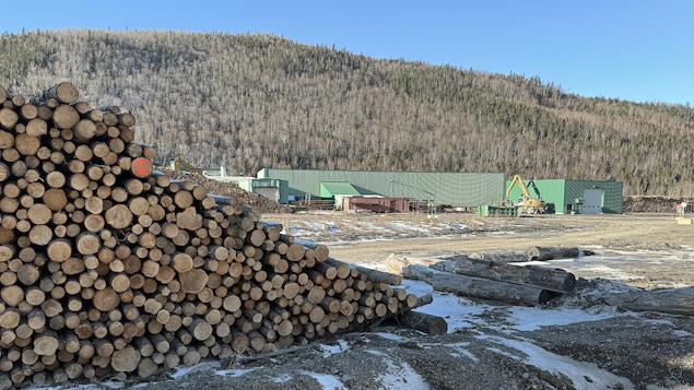 Extérieur de l'usine de Marsoui dans la MRC de La Haute-Gaspésie