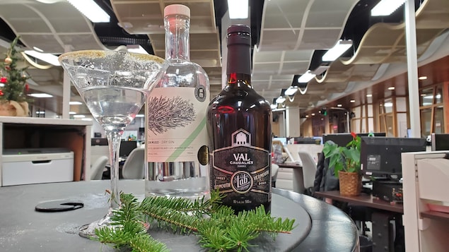 Le gin mugo de la Distillerie Mitis et le vermouth Val Caudalies, avec une branche de sapinage et une coupe à martinis