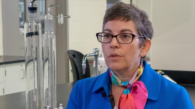Gina Strati, directrice de la Division de l'énergie des Laboratoires nucléaires canadiens, voit les PRM comme la solution nucléaire de l'avenir. Gina Strati, directrice de la Division de l'énergie des Laboratoires nucléaires canadiens, voit les PRM comme la solution nucléaire de l'avenir.