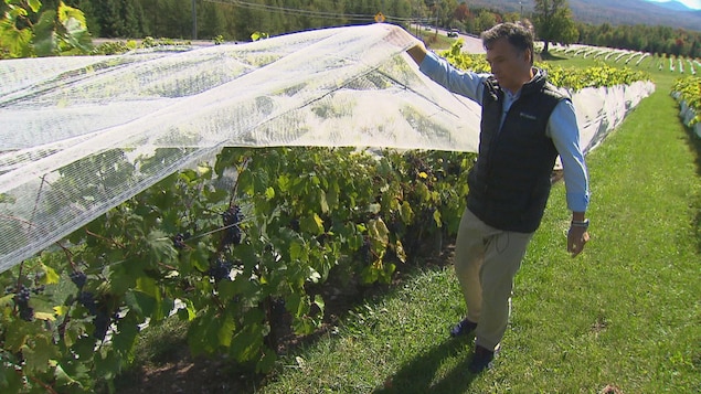 L’élan de solidarité des vignerons porte fruit au Domaine Girouard