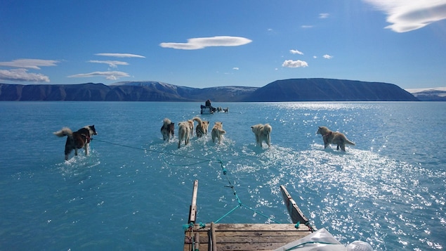 Une Photo Saisissante Montre La Fonte Prematuree Des Glaces Au Groenland Radio Canada Ca des glaces au groenland radio canada ca