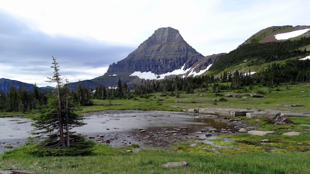Un tiers des glaciers classés au patrimoine mondial disparaîtront, alerte l’UNESCO