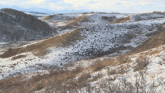 Des collines du parc Glenbow Ranch près de Calgary l'hiver, sous la neige.