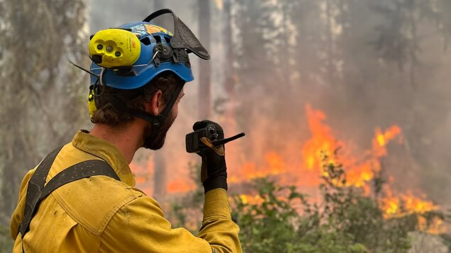 Combattre le feu ou non, le dilemme du parc national Wood Buffalo