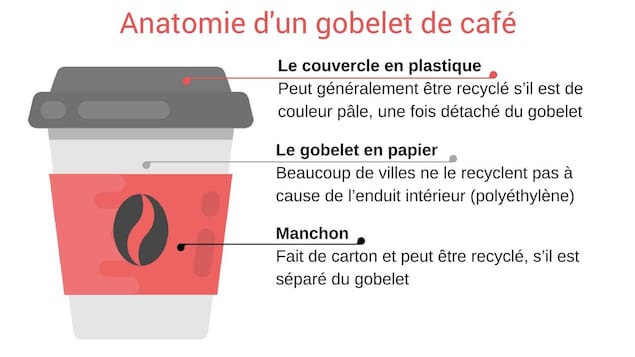 Le couvercle : En plastique, peut généralement être recyclé s’il est de couleur pâle et est détaché du gobelet. Le gobelet : Beaucoup de villes ne le recyclent pas même s’il est fait de carton, à cause de l’enduit intérieur. Manchon : Fait de carton et peut être recyclé, s’il est séparé du gobelet.
