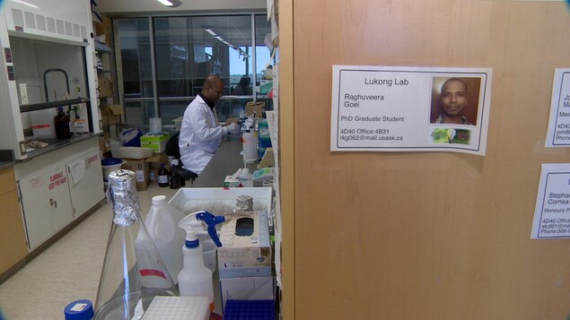 M. Goel est assis à son poste de travail devant une panoplie d'instruments biochimiques. M. Goel est assis à son poste de travail devant une panoplie d'instruments biochimiques.