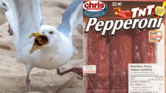 Image d'un goéland et d'un emballage de pepperoni