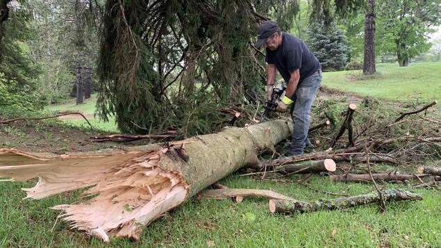 Un homme scie un arbre cassé sur le terrain de golf