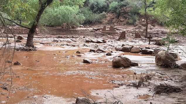 Crues soudaines dans le Grand Canyon : plus de 20 personnes recherchées