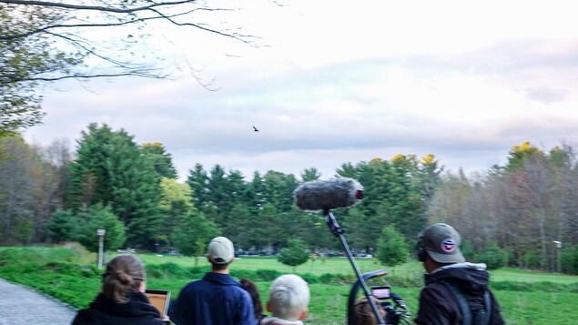 Au centre de l'écran, une grande chauve-souris brune qui prend son envol. Au bas de l'écran, une équipe de tournage Au centre de l'écran, une grande chauve-souris brune qui prend son envol. Au bas de l'écran, une équipe de tournage