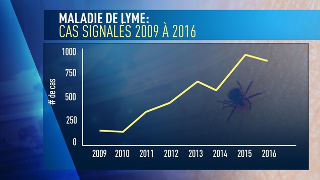 Un graphique démontre le nombre de cas signalés de la maladie de Lyme entre 2009 et 2016. Un graphique démontre le nombre de cas signalés de la maladie de Lyme entre 2009 et 2016.