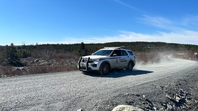 Restes humains découverts à Harbour Grace : l’affaire est considérée comme un homicide