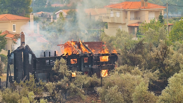 Feux de forêts : l'« été cauchemardesque » de la Grèce se poursuit - Vimarsana News
