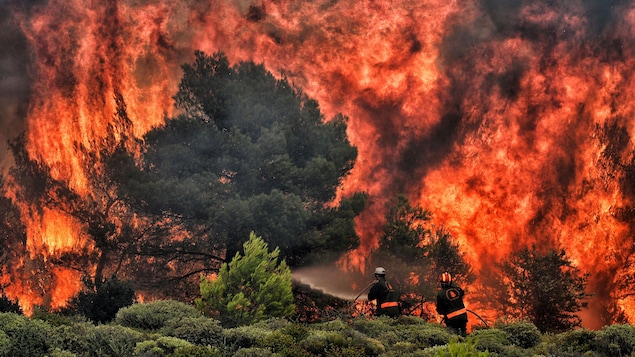 Les feux de forêt près d'Athènes ont fait plus de 70 morts.