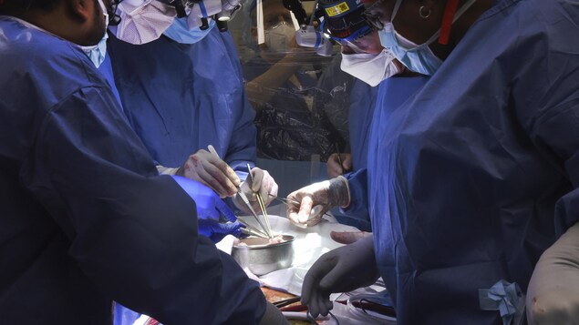 Des chirurgiens durant une opération.