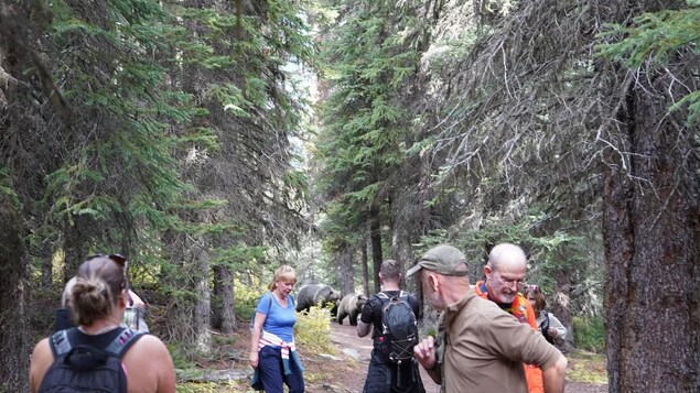 Mga hiker na sinusundan ng oso.