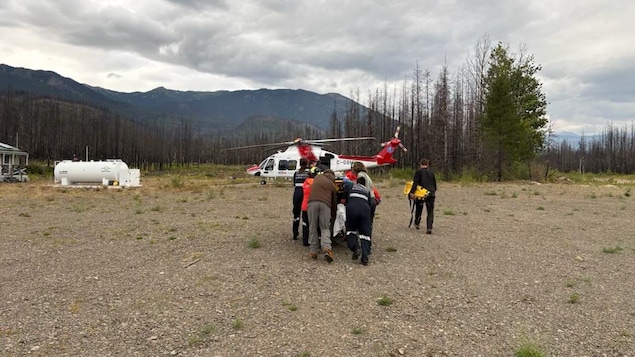 Un grizzly attaque une randonneuse de 72 ans en Colombie-Britannique